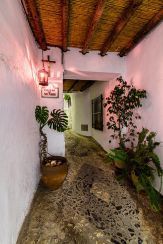 paseo casco_antiguo_08