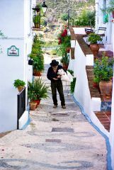 paseo casco_antiguo_17