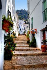paseo casco_antiguo_19