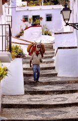 paseo casco_antiguo_20