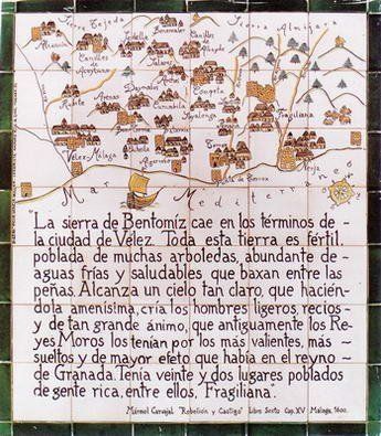 panel 01